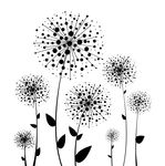 clipart black dandelion seed puffs graphic