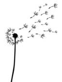 clipart black dandelion flower stalk and buds with seeds graphic
