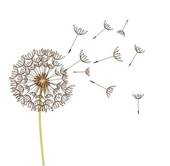 clipart black and white dandelion flower seed puff graphic