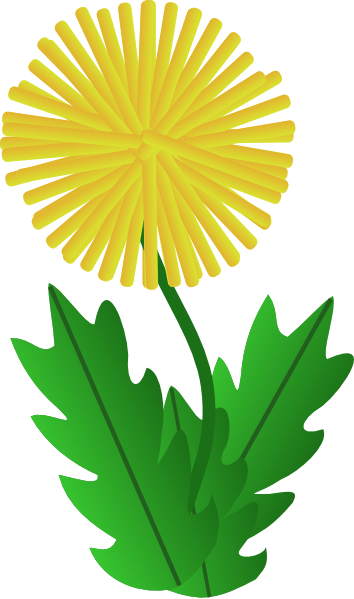 clipart graphic colored dandelion flower