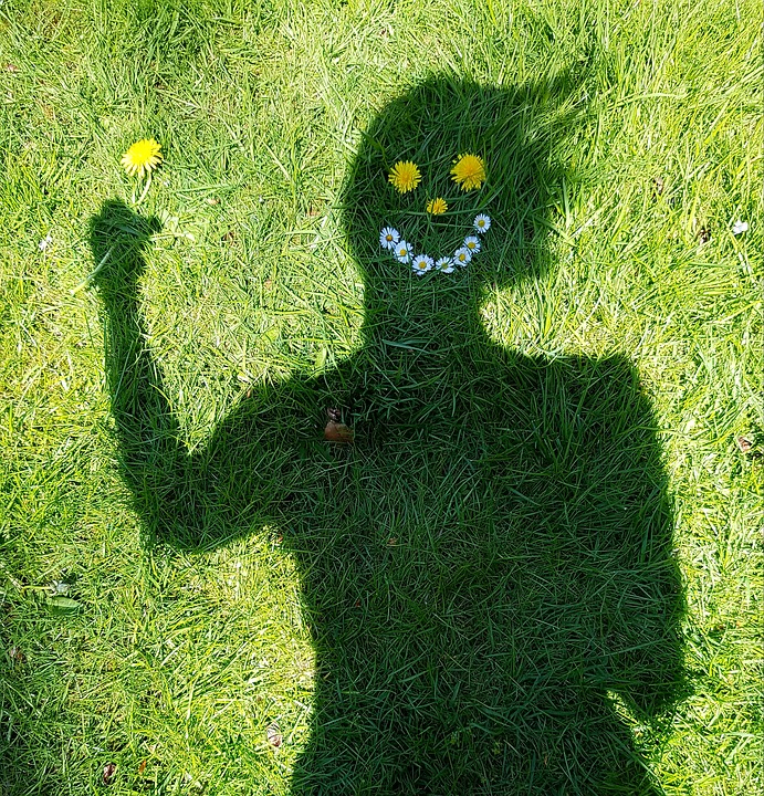 Shadow of person on grass with dandelion flowers as smiley face